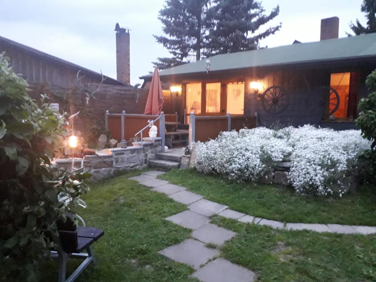 Villa Ferienhaus Schulenberg à Friedrichsbrunn Extérieur photo