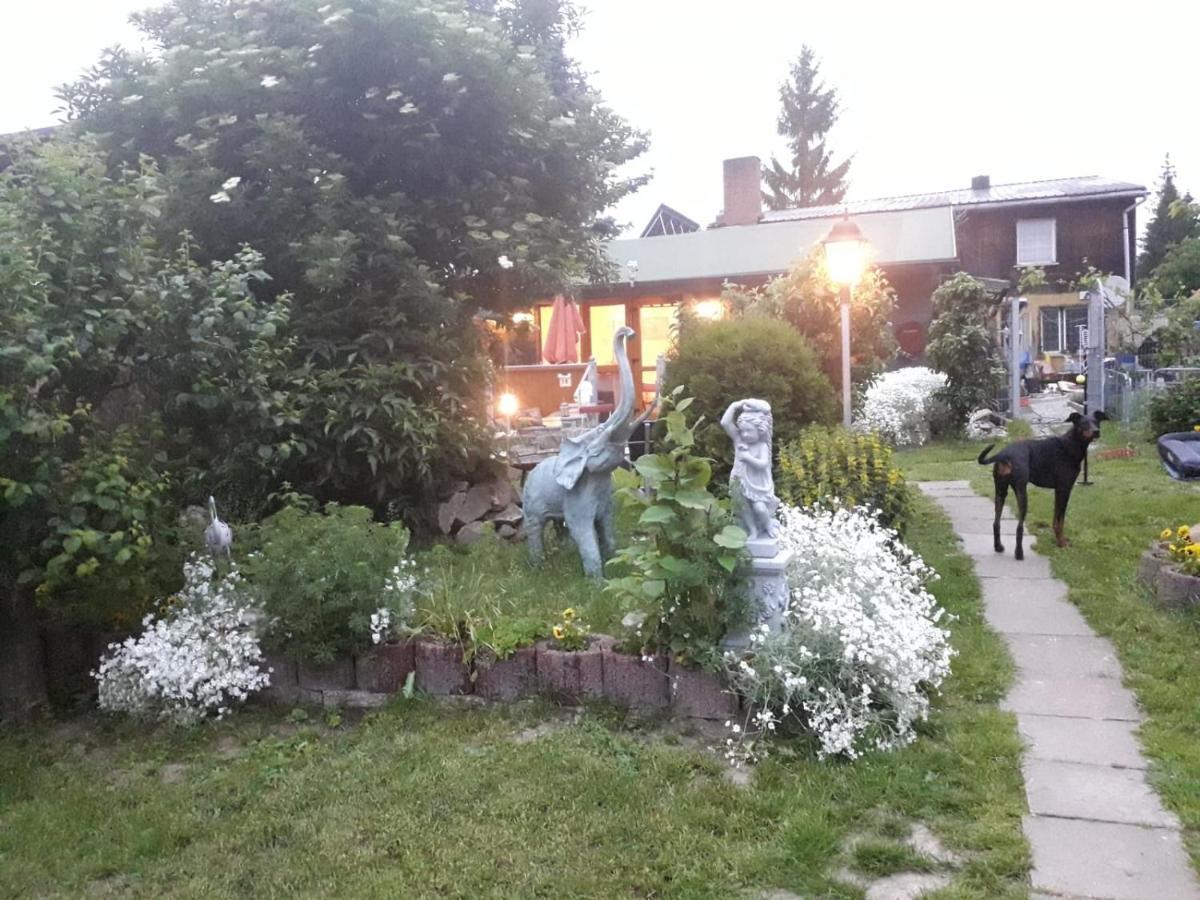 Villa Ferienhaus Schulenberg à Friedrichsbrunn Extérieur photo